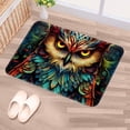 thumbnail image 5 of Owl Polyester Non-Slip Machine Washable Door Rugs Indoor Rug Game Mat, 5 of 6
