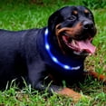 thumbnail image 2 of LED Dog Collar,USB Rechargeable Glowing Dog Collars, Light Up Collar Improved Pet Safety, 2 of 5