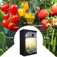 thumbnail image 4 of Luces de crecimiento LED Movsou luz de crecimiento de plantas espectro completo 3x3 pies, 4 of 7