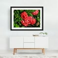 thumbnail image 2 of Roses - Annapolis Maryland Photography Floral Flowers Garden Nature Botanical Summer Scenic Black Framed Wall Art Print 20 x 30 inches, 2 of 4
