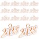 thumbnail image 5 of 20pcs 2023 Año Joyería encanto 2023 colgantes para aretes de collar de pulsera de bricolaje, 5 of 6