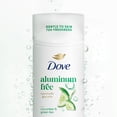 thumbnail image 6 of Dove Deodorant Stick for 72 Hour Odor Protection Cucumber & Green Tea Aluminum Free, 2.4 oz 2 Count, 6 of 11