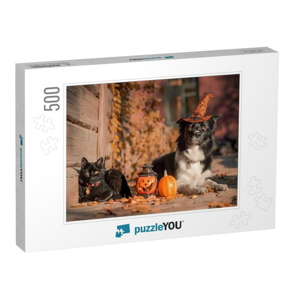 Border Collie with a Witch Hat Laying Near Halloween Deco... Jigsaw Puzzle Jigsaw Puzzle with 500 Pieces