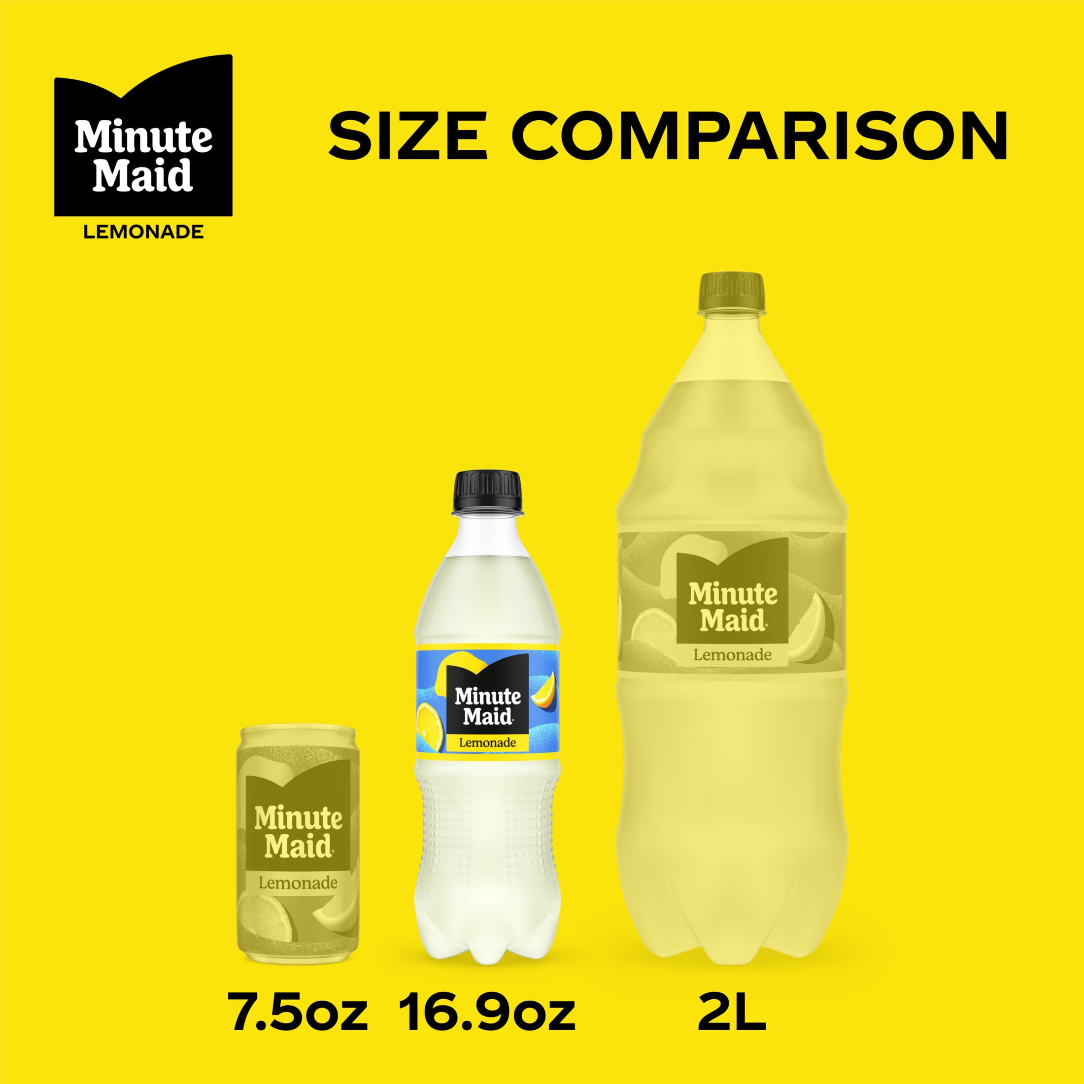 (2 pack) Minute Maid Lemonade Bottles, 16.9 fl oz, 6 Pack