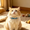 thumbnail image 6 of Calming Cat Collar For Anxiety And Stress Reduction In Felines With Adjustable Secure Fit - Pet Collars For Cats With Design And Safe Release, 6 of 6