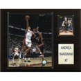 thumbnail image 1 of C & I Collectables 1215BARGNA NBA Andrea Bargnani Toronto Raptors Plaque de Joueur, 1 of 1