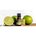 thumbnail image 5 of SOiL Organic Lime Essential Oil - 10ml, 5 of 7