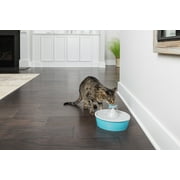 PetSafe Drinkwell Butterfly Pet Fountain - Automatic Dog and Cat Water Bowl