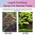 thumbnail image 2 of Proffesional Bonsai Spray Fertilizer Mist for Home Gardening | 3-1-2 Gentle Blend Mist for Healthy Leaves & Growth | Essential Nutrients for Bonsai, 2 of 5