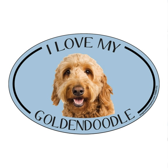 I Love my Goldendoodle Breed Oval Magnet