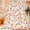 Fox, variant on Autumn Gnome Harvest Flannel Blanket 40x50 Inch, Farmhouse Red Truck Pumpkin Gnome Rustic Fall Leaf Cozy and Soft Plush Warm Blankets for Bed Couch Living Room Sofa Chair