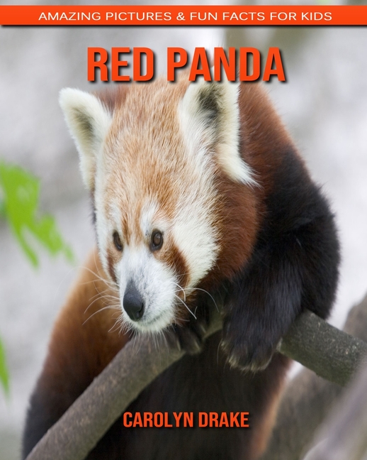 Red Panda Amazing Pictures Fun Facts For Kids Paperback Walmart Com