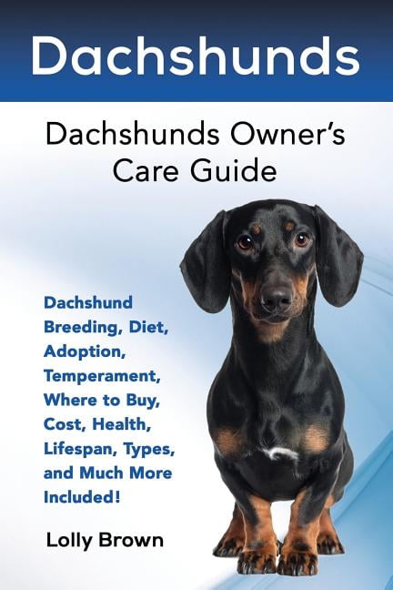 buy a dachshund