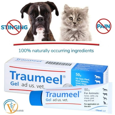 Traumeel Gel 50g Homeopathic Topical Cream | Animals: Cats, Dogs, Horses - Veterinary Formula by Heel Vet