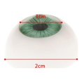 thumbnail image 4 of 8pc Half  Eyes Eyeballs DIY Halloween Prop Horror Doll Bear Animals Making 20mm, 4 of 7