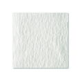 thumbnail image 3 of BRAWNY PROFESSIONAL D300 110 ct (233 mm x 403 mm), 3 of 3