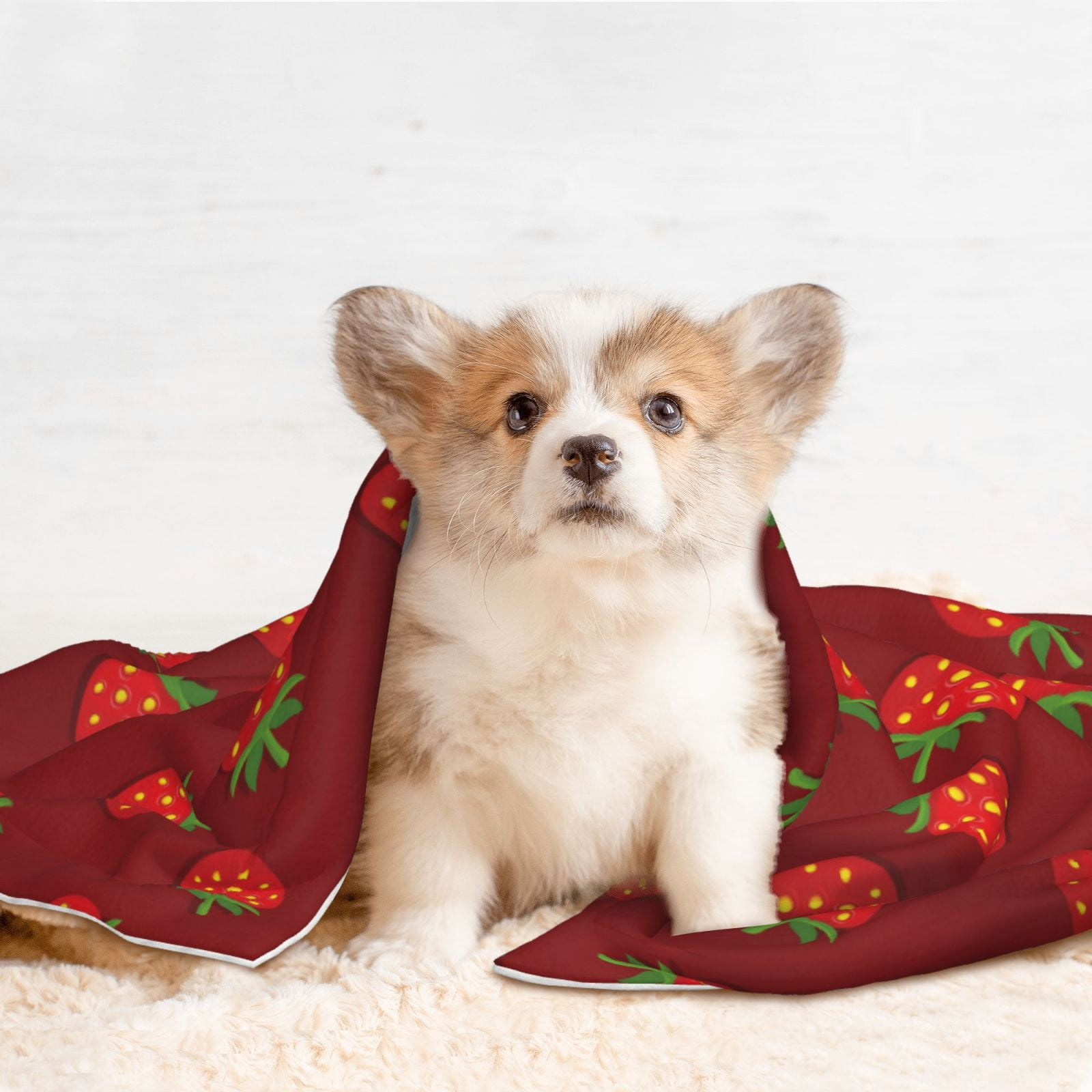 Naloa Strawberry Dog Blanket, 3 Sizes Cat Blanket for Indoor Cats Large Medium Small Dog Gifts-Small