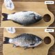 thumbnail image 4 of piezas de cepillo descamador de pescado con tapa, removedor de escamas de pescado, descalcificador de pescado, único Ha, 4 of 5