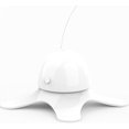 thumbnail image 4 of Juguetes para gatos, ejercicio divertido, juguetes giratorios para gatitos con aleteo eléctrico, Teaser para gatos con reemplazo de mariposa, 4 of 5