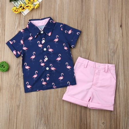 

Kids Toddler Baby Boys Short Sleeve Button Down Shirt Shorts Suits 2T 3T 4T 5T 6T Outfits Summer Clothes Gentleman 2-Piece Set