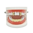 thumbnail image 2 of lionlar Smooth Hip 2 Top &6 Bottom Mouth Teeth Set Gold, 2 of 9