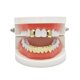 thumbnail image 1 of 2pcs Top & 6Botto Grills Tooth 18k Golden Boca Dientes Grills Bling Hip Hop - Oro Hugo Tapas de parrillas para dientes bucales, 1 of 10