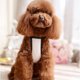thumbnail image 2 of Cachorro De Perro Ropa De Liga Del Cordón De Vestido Con Capucha Del Chaleco De Sunnimix Camisa de mascota, 2 of 4