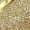 Gold, variant on FLORAL Lettie Women's Wide Width V-Shaped Dress Pumps