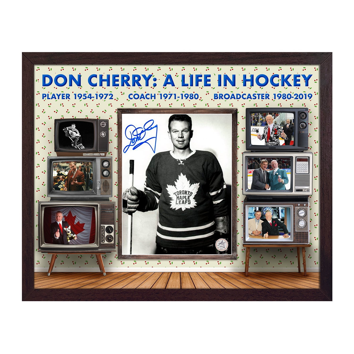 Don Cherry Signed Life In Hockey Classic TV 25x31 Graphic Frame Walmart Canada