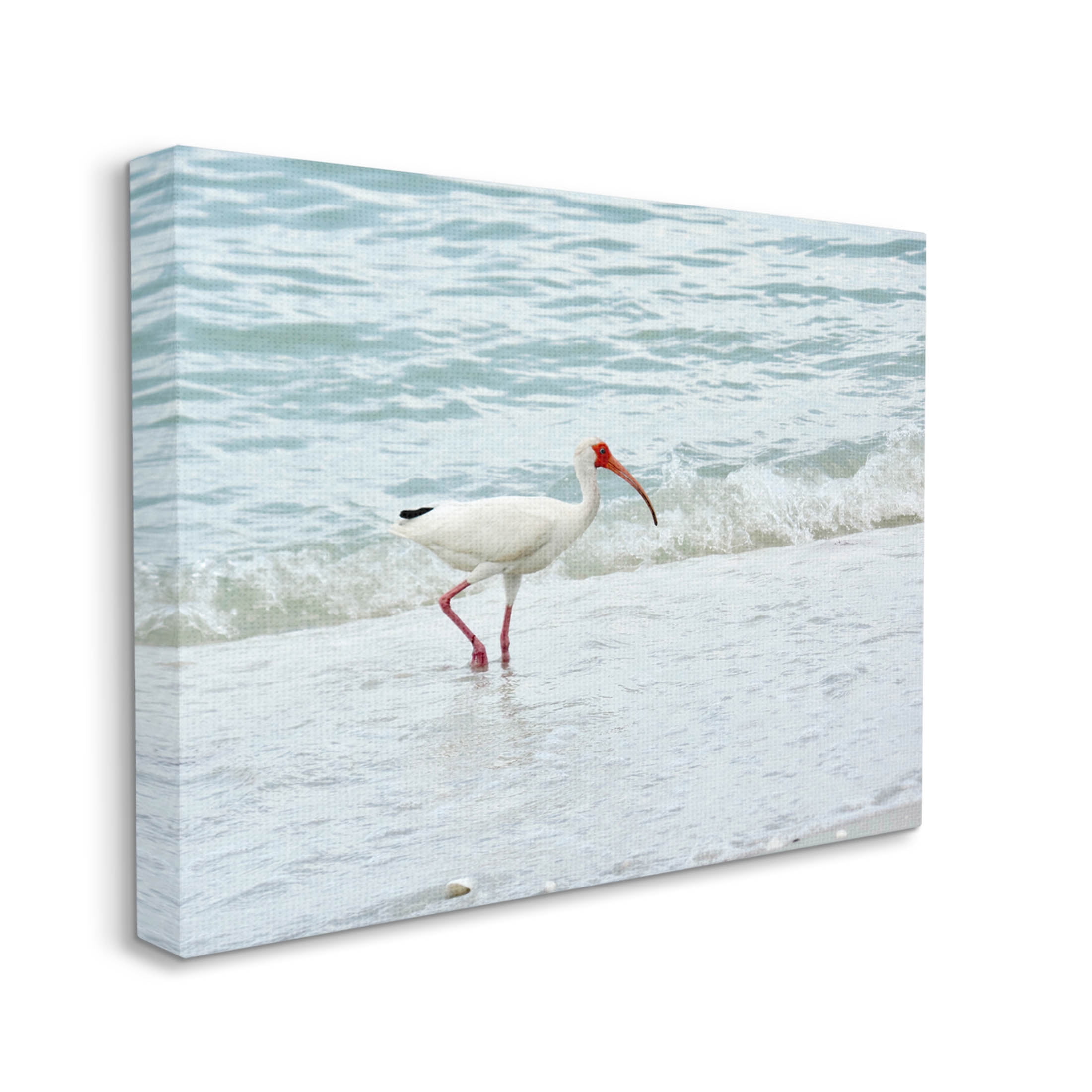 Bird Stepping Sea Waves Splash Animals & Insects Photograph Gallery Wrapped Canvas Print Wall Art