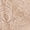 In The Buff/Black Hue, variant on Women's Signature Lace Thong, 2-Pack, Style-SA849