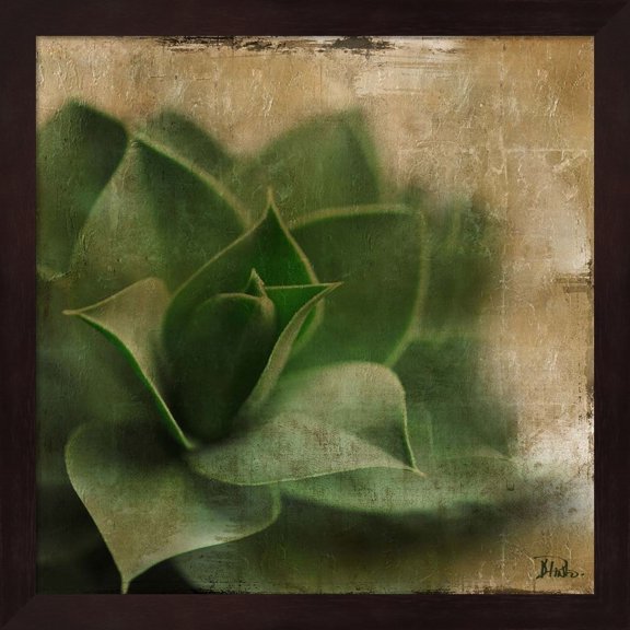 Metaverse Patricia Pinto 'Succulent II' Framed Art