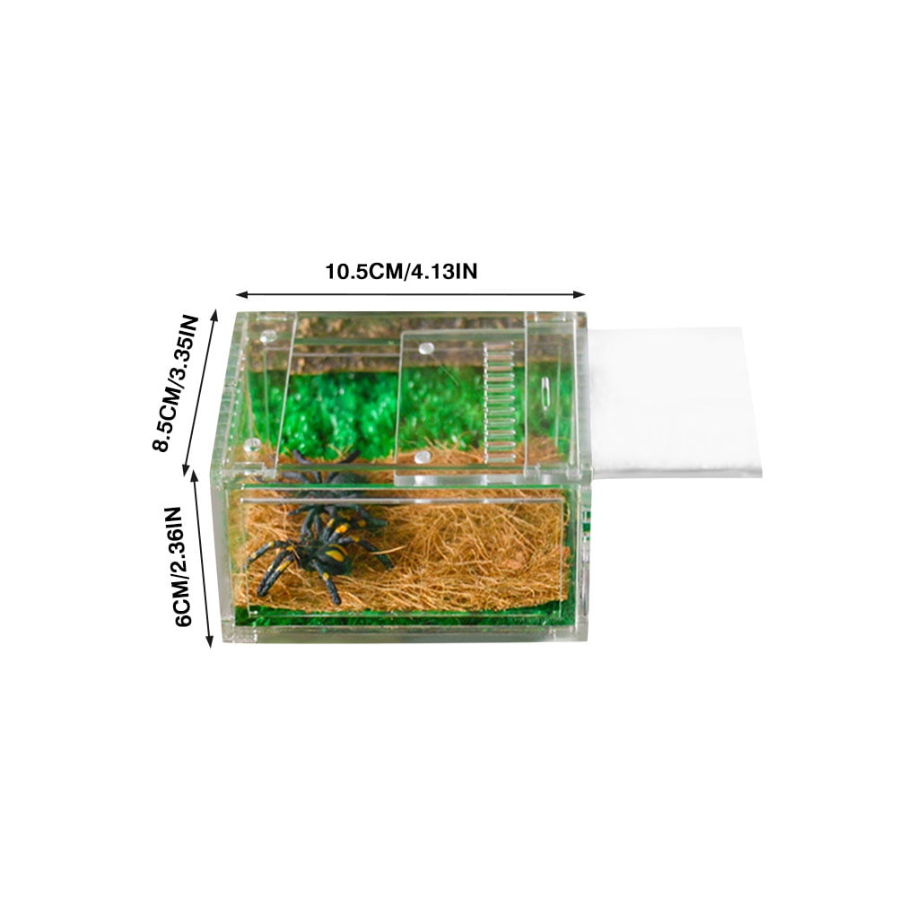 L AnRui Terrarium Reptile Breeding Box,Clear Acrylic Reptile Breeding Box Aquarium Terrarium Full View Visually Feeding Box for Pet Spiders Scorpions Horned Frogs