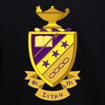 thumbnail image 3 of CafePress - Phi Sigma Pi Full Color Sweatshirt - Pullover Hoodie, Classic & Comfortable Hooded Sweatshirt, 3 of 4