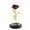 Purple, variant on Gold Foil Rose Lampshade with LED Lights Glass Dome Display, Valentine's Day Ornament Decorative Desktop Home Decor Couple Anniversary Birthday Gift Romantic Warm Ambient Lighting