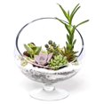 thumbnail image 5 of WGV Slant Cut Bowl Glass Vase Bulk with Stand, Width 8.25", Height 8.75", Clear Planter Terrarium, Candy Dish, Fruit Jar for Wedding Party Event, Home Office Decor, 4 Pieces, 5 of 8