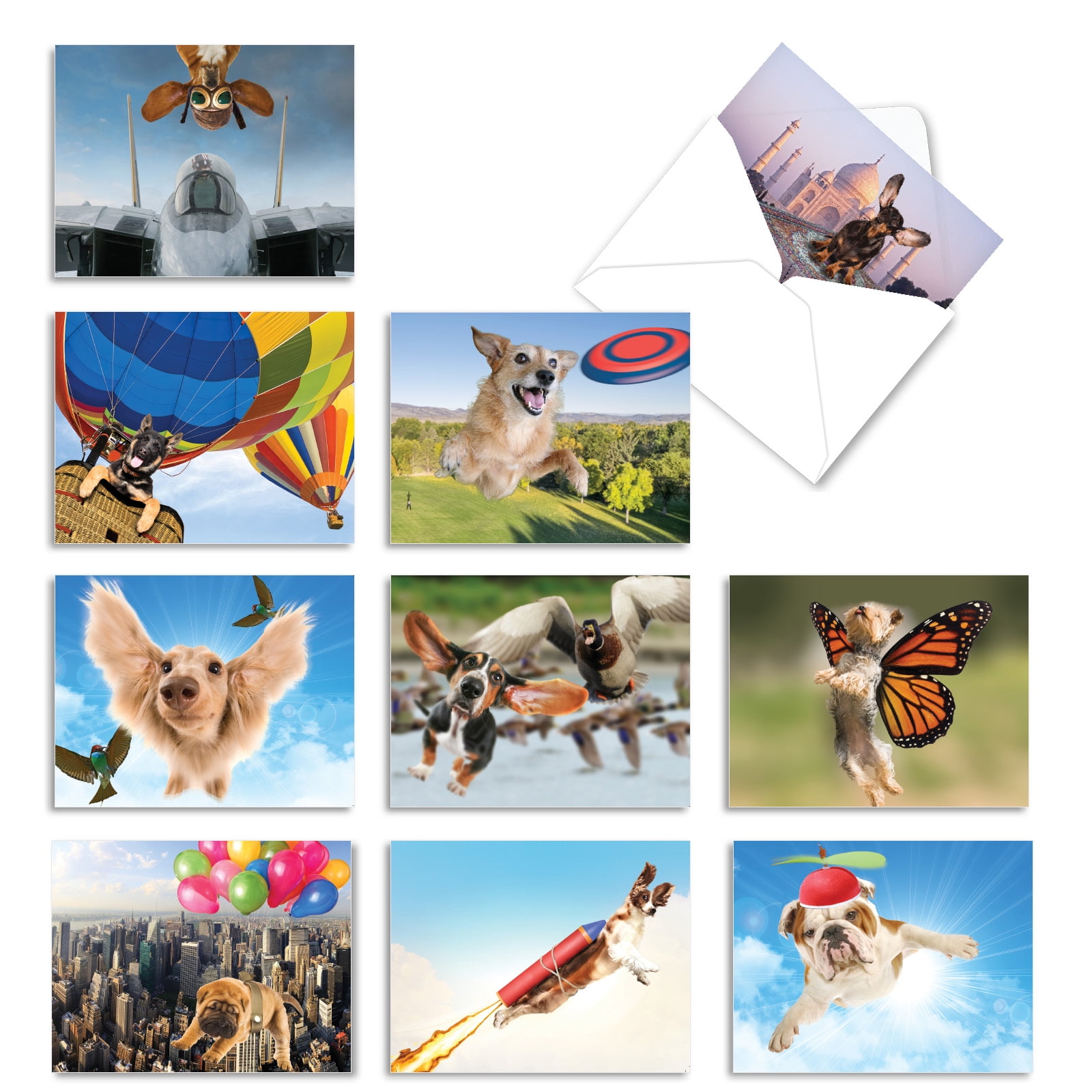 10  All Occasion Blank Cards Assortment CUBIC CANINES M6632OCB 