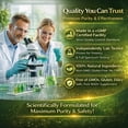 thumbnail image 6 of DEZEN NAD+ Supplement 900mg, Cellular Energy Support Capsules, NAD Plus Booster for Healthy Aging & Metabolism, 6 of 8