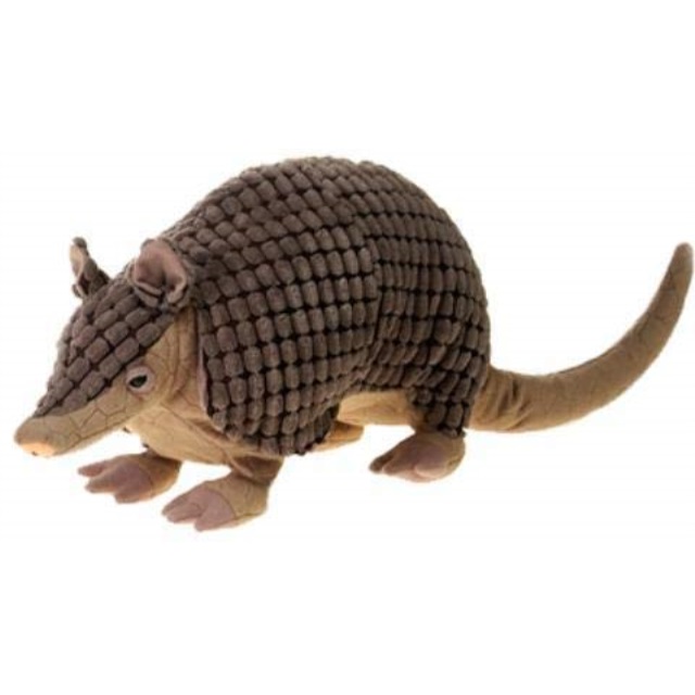 armadillo soft toy