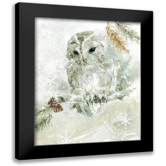 Robinson, Carol 12x14 Black Modern Framed Museum Art Print Titled - Winter Lodge Owl