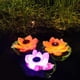 thumbnail image 3 of Luz de flotador de agua de luz solar al aire libre, decoración de luz de estanque de fiesta, luz de noche de loto Vhermosa, 3 of 5