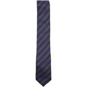 Altea Milano Men's Light Blue And Bronze Horizontal Silk Stripe Necktie - One Size