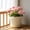 Beige, variant on Thickened Flower Pot, Sturdy Ceramic Texture Plants Vessel for Household Balcony Patio Landscaping Garden Decor Plants Container