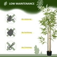thumbnail image 5 of HOMCOM 6' Artificial Bamboo Tree, Potted Indoor Fake Plant for Home Office, Living Room Decor, 5 of 9