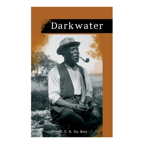 Darkwater: Voices from Within the Veil, (Paperback)