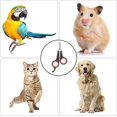 thumbnail image 1 of Cortaú?as para pájaros, herramienta de aseo, tijeras para u?as, cortaú?as para mascotas, pájaros, loros, animales peque?os, accesorio para pájaros peque?os, loros, 12*6cm, rojo y negro ZefeiWu 8390615865708, 1 of 1