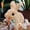 🔥 Multicolor, variant on Msgweeeg Cute Stuffed Animals Cute Plushies Easter Bunny Toy Interactive Hopping Electronic Pet Bunny Toy with Sounds and Movements Animated Walking Ears Nose