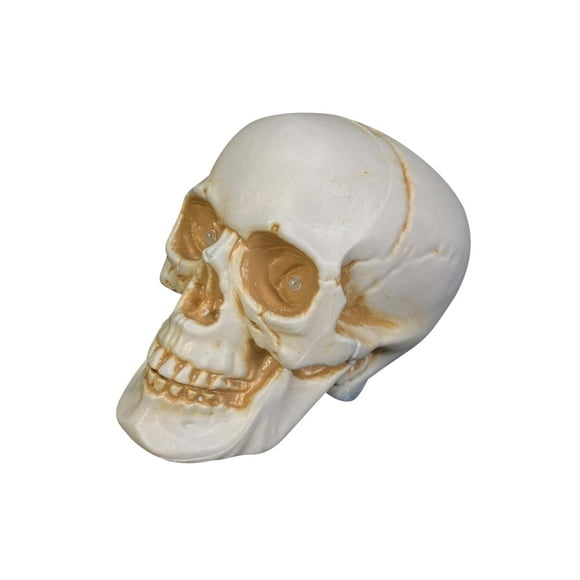 Talking Skull Talking Skull