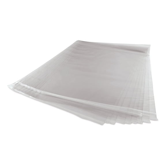 Blick Archival Bag Pack - 22" x 28", Pkg of 10