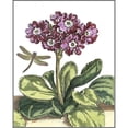 thumbnail image 3 of De Bry, Johann 12x14 Black Modern Framed Museum Art Print Titled - Garden Vignette IV, 3 of 5